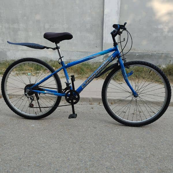 Japanese bicycle (26 Inch) 6