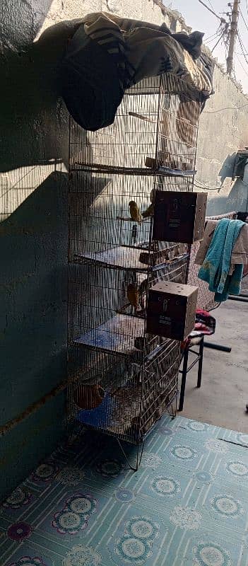 cage for sale 3