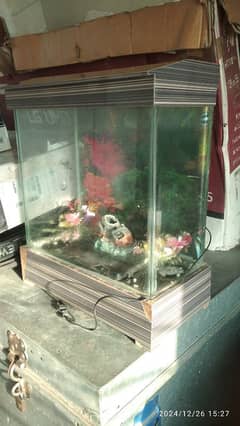 Fish Aquarium | Small Size | Condition 10/7 |