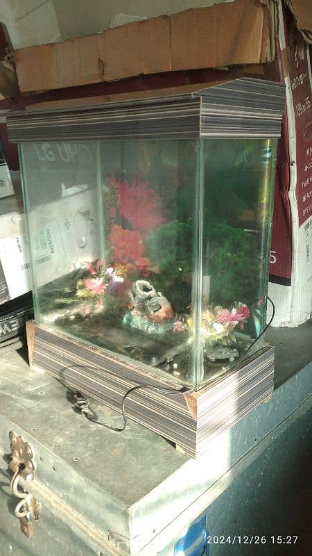 Fish Aquarium | Small Size | Condition 10/7 | 0