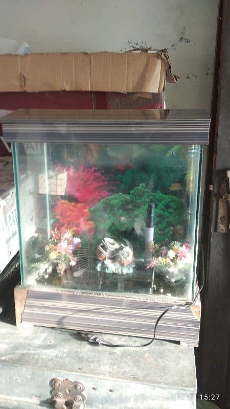 Fish Aquarium | Small Size | Condition 10/7 | 1