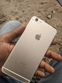 PTA proved 7 plus