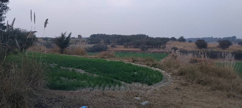 72 kanal agricultural land for sale in chakwal 0