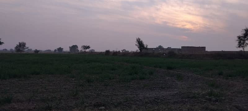 72 kanal agricultural land for sale in chakwal 2