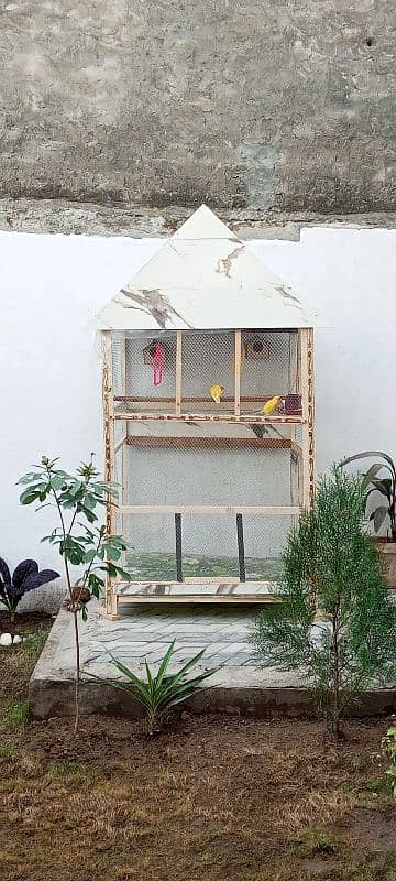 wooden cage for birds 0