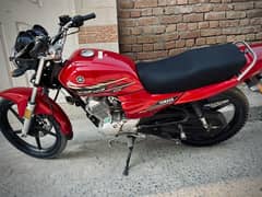 yamaha yb125z Dx 2021