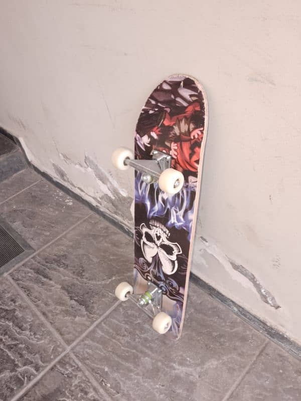 Skateboard 1