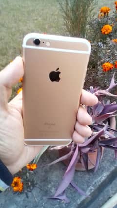 Iphone 6s Gold 10/10 Condition