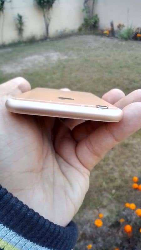 Iphone 6s Gold 10/10 Condition 9