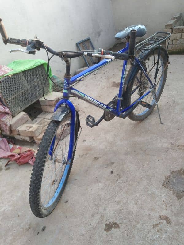 rust free bicycle 1