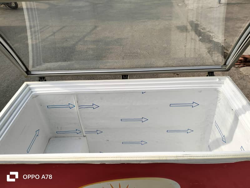 Glass top D freezer singel door Glass top door (0306=4462/443) papuse 5