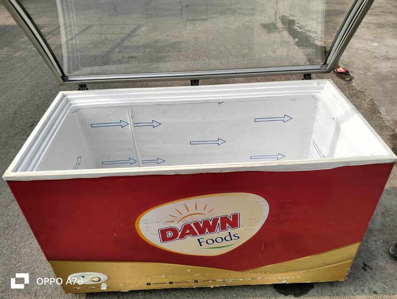 Glass top D freezer singel door Glass top door (0306=4462/443) papuse 7