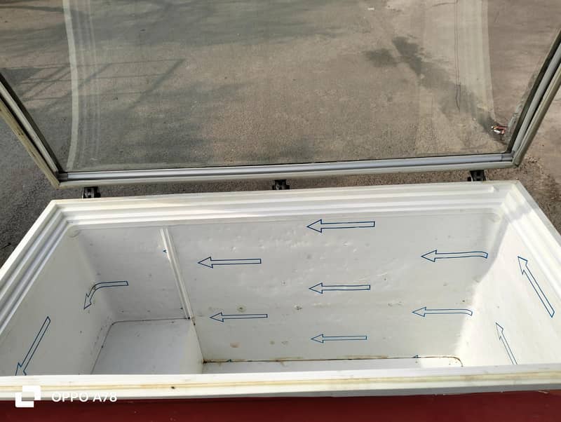 Glass top D freezer singel door Glass top door (0306=4462/443) papuse 11