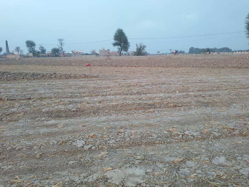 14 Kanal agriculture Land available on main Bypass Sahiwal 1