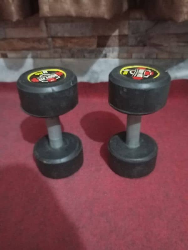 pair of 4 kg dumbbells 3