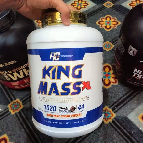 BODY BUILDING SUPPLEMENTS | MASS GAINER, PROTEIN, CREATINE | 11