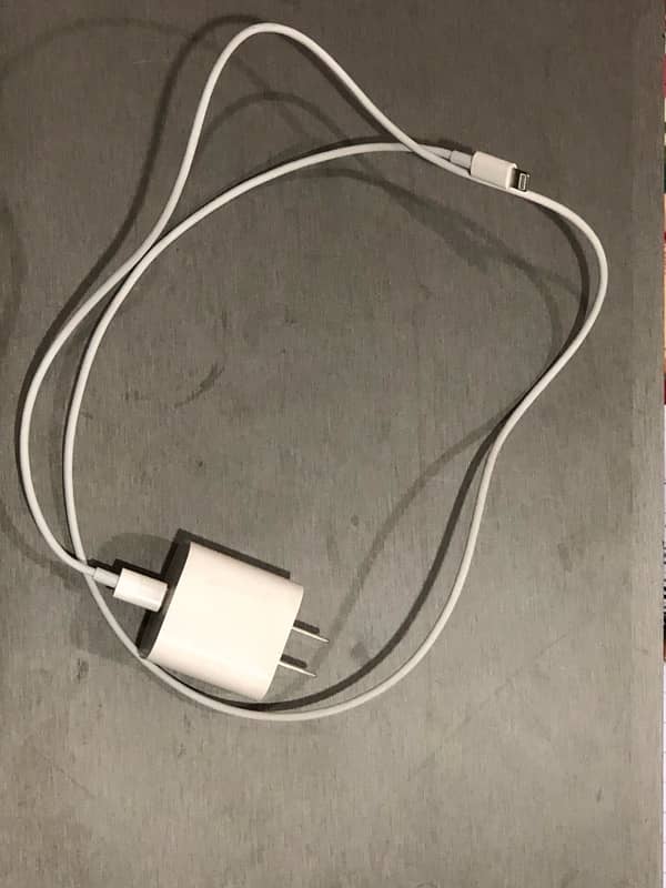 I want to sell my iphone 11 Pro Charger 2