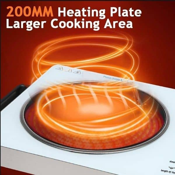 Important Electric Stove Free Home Delivery 3