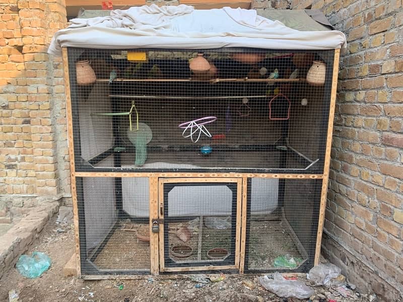 Cage With Parrots 5