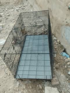 cage for sale