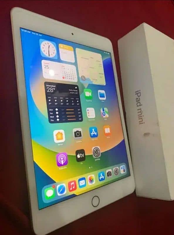 iPad Mini 5 0