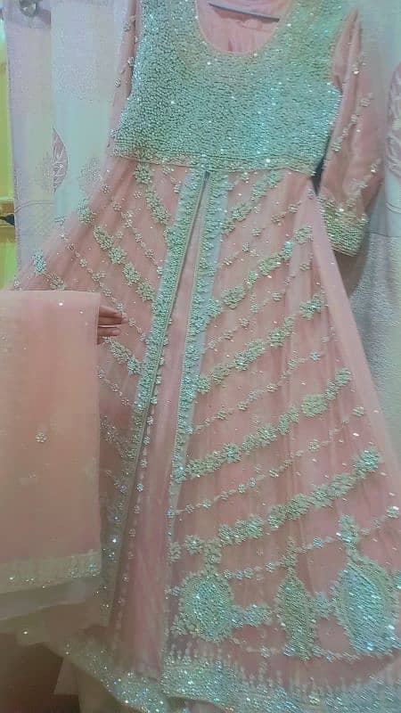 walima maxii 3