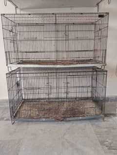 Birds Cage with partition