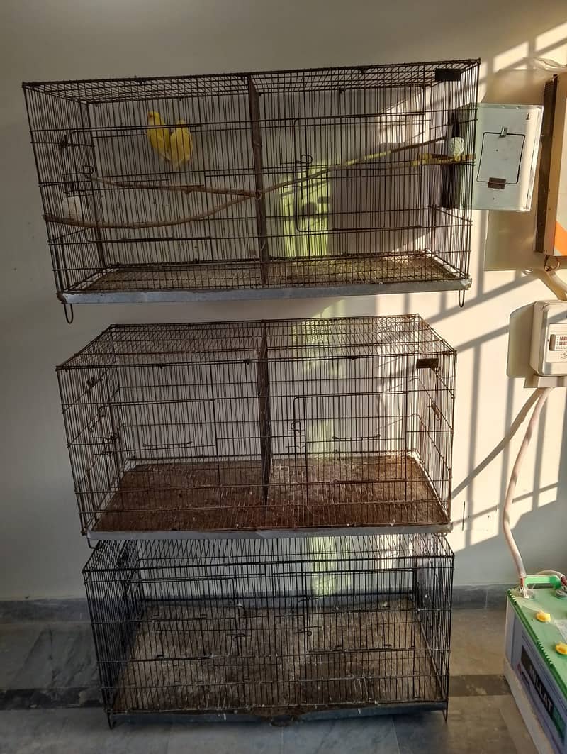 Birds Cage with partition 2