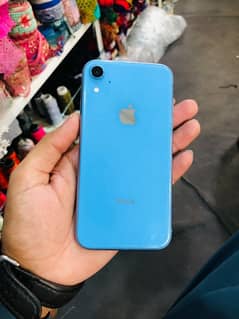 iphone Xr pta approve