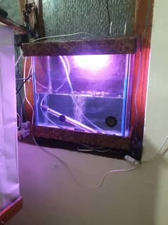 1 Large size &  1 small size Aquarium with fish