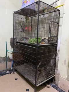 Gray parrot cages