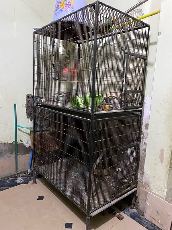 Gray parrot cages 0