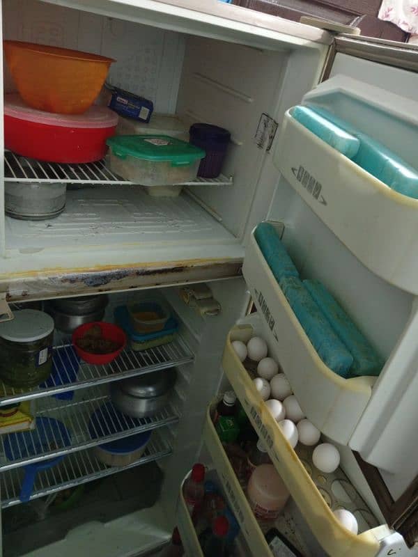 refrigerator/fridge 2