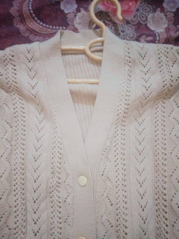 ladies sweater 2