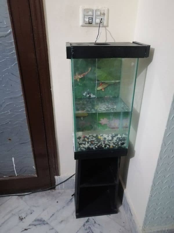 Fish Aquarium setup 0