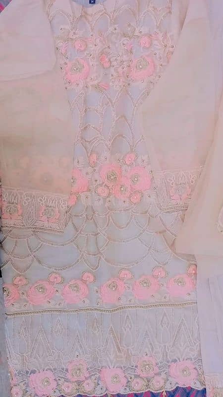 skin color embroidered suit 2