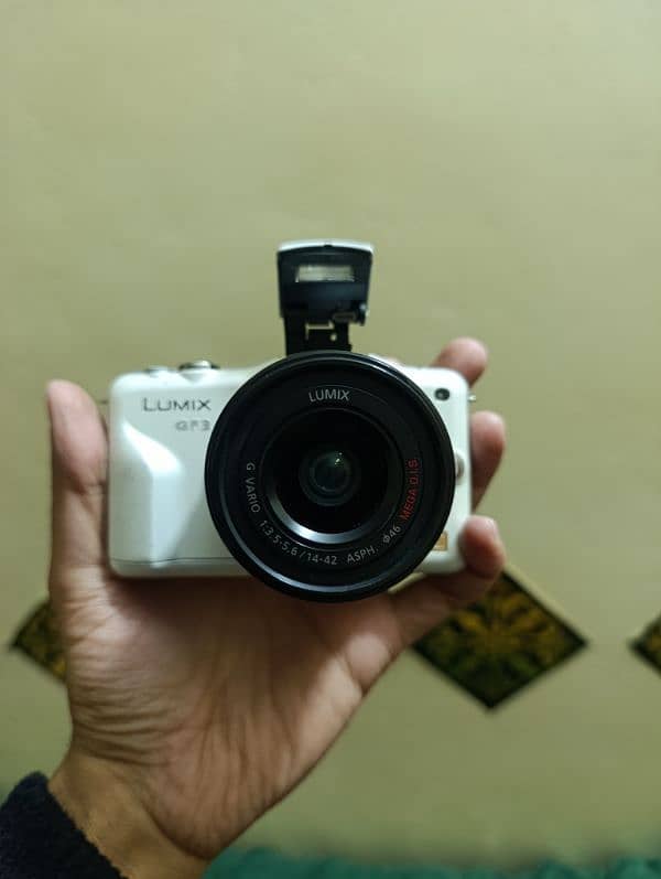 Panasonic Lumix GF3 Camera 1