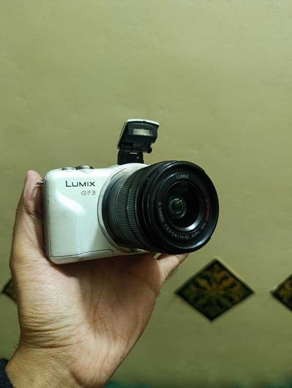 Panasonic Lumix GF3 Camera 2