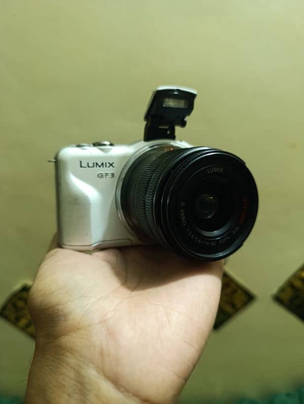 Panasonic Lumix GF3 Camera 3