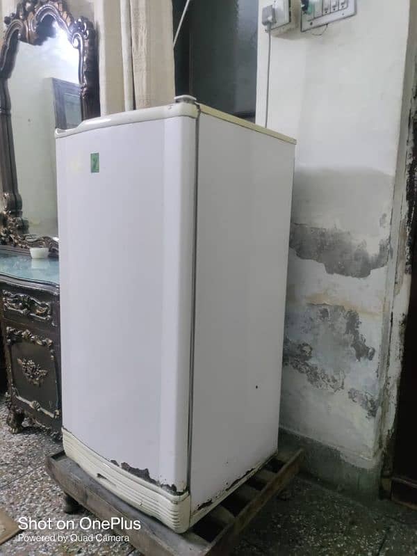 pel fridge perfect condition 1