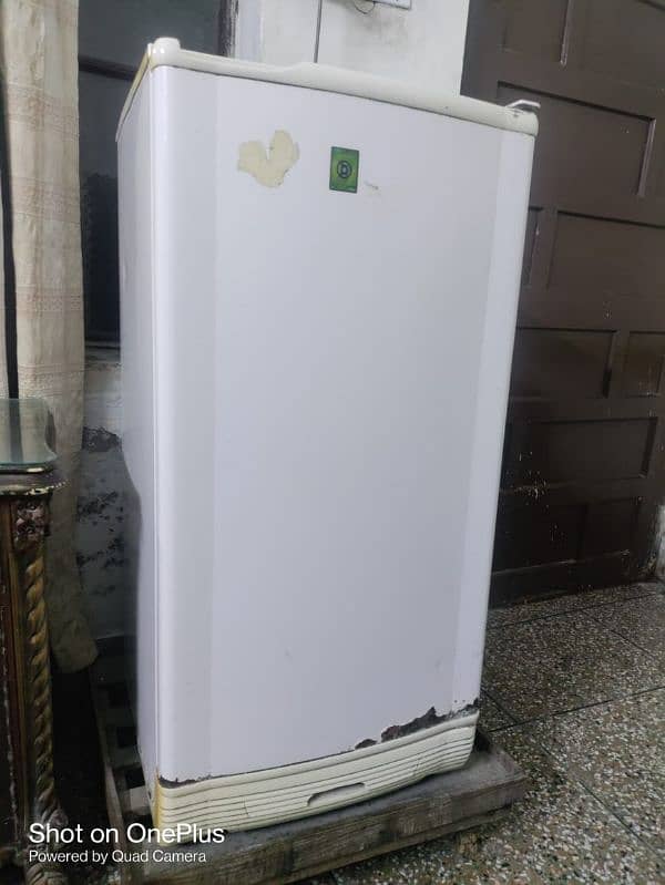 pel fridge perfect condition 3