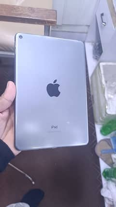 Ipad Mini5