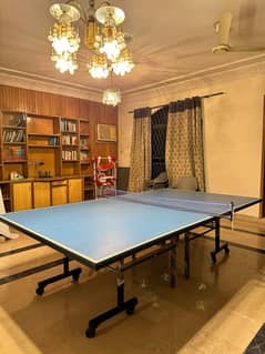 slightly used table tennis table