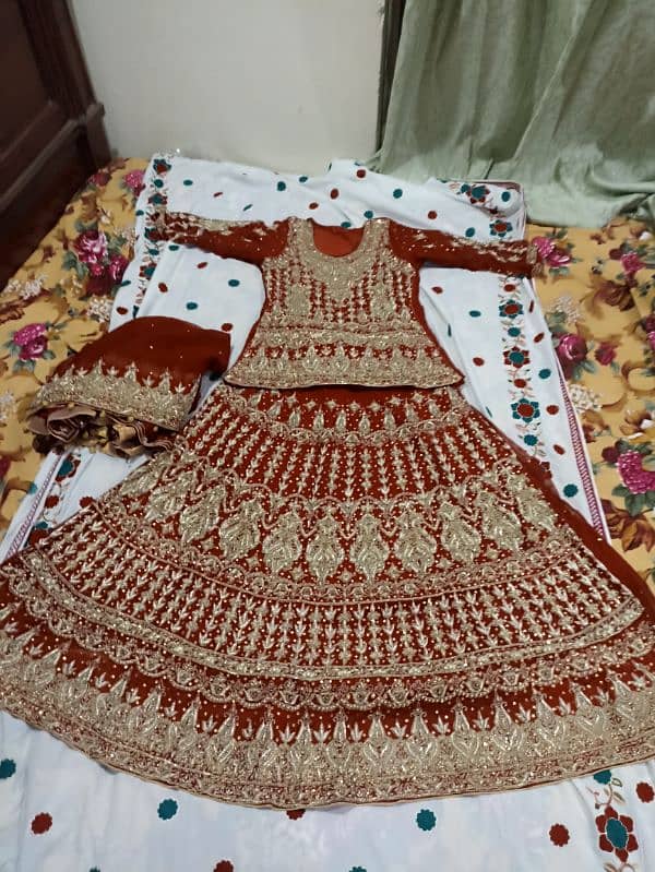 Bridal Dress/Wedding Dress/Bridal Lehnga/Designer Bridal Dress 2