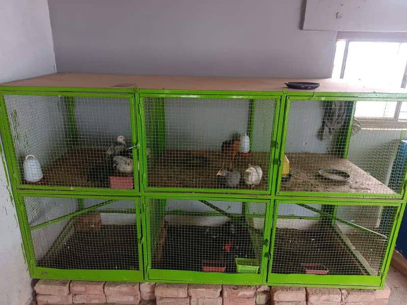 solid steel cage for sale 0