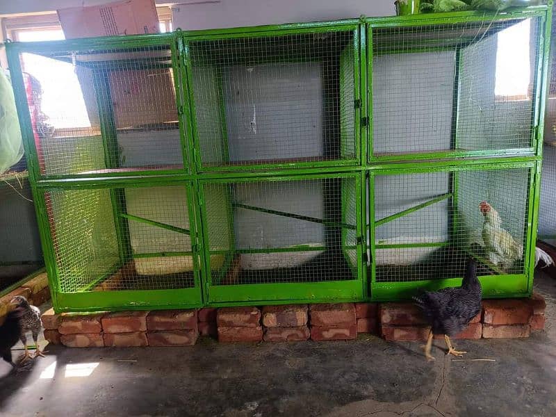 solid steel cage for sale 1