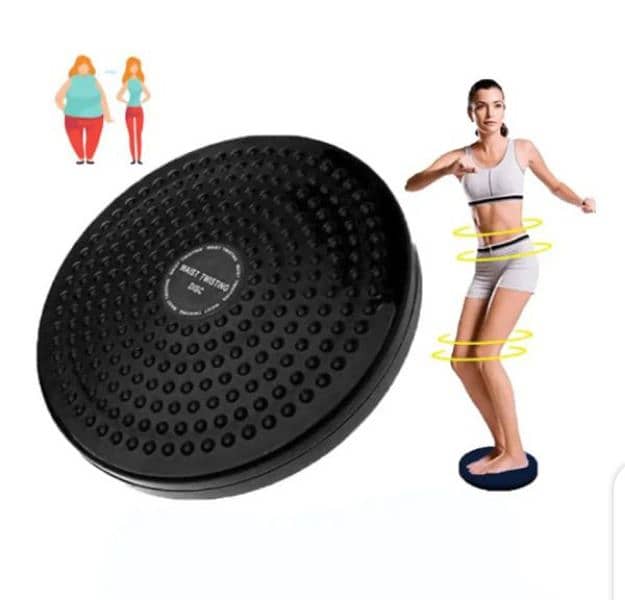 Twister Disc, Weight Loss, Weight Loss Machine / Ab Twister & Plate 1