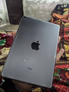 I pad mini 5