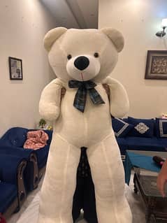 new  teddy bear 5.5 height exellent condition