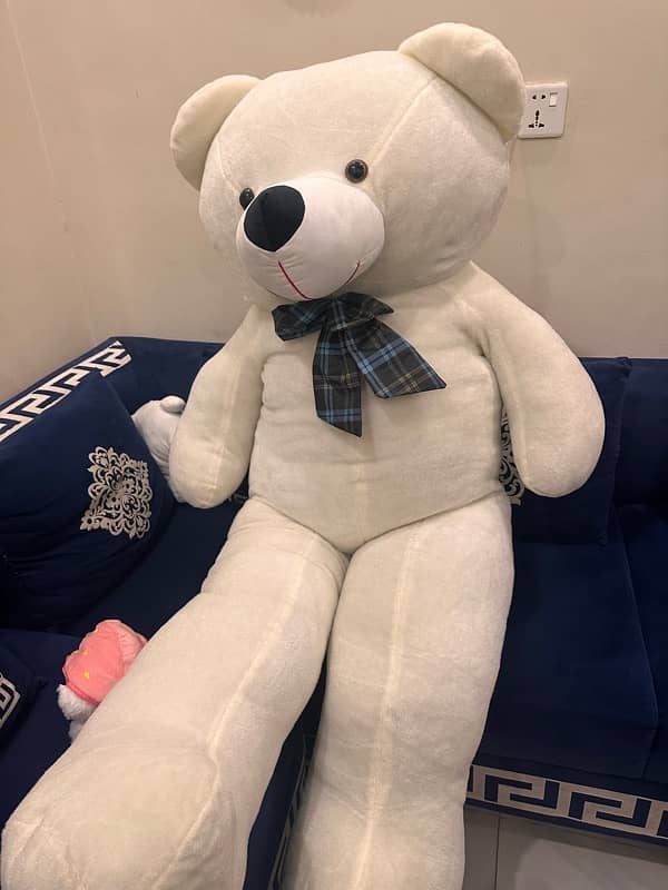 new  teddy bear 5.5 height exellent condition 3